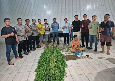 GANJA3.jpg
