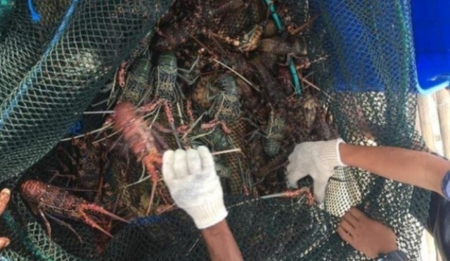 IMG_20210410_175547.jpg